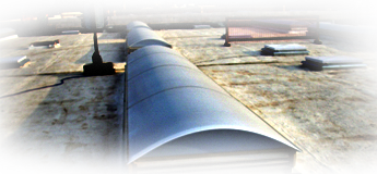 Para de Teja Francesa