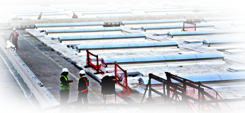 Para de Teja Francesa